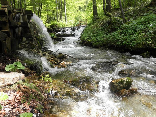Single wandern kärnten
