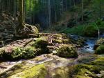 nl-2016-06-treffen-datings-wandern-singles-wandern.jpg