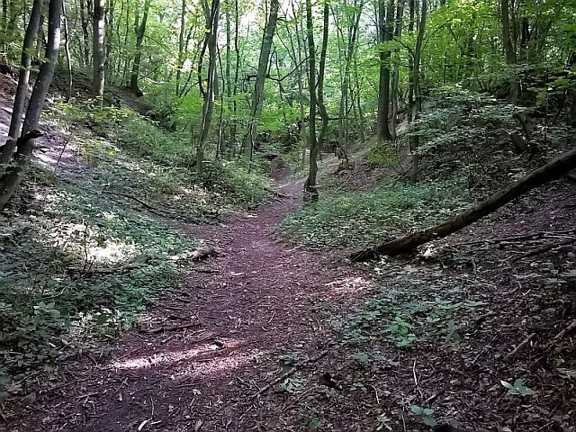 Singlewandern krems