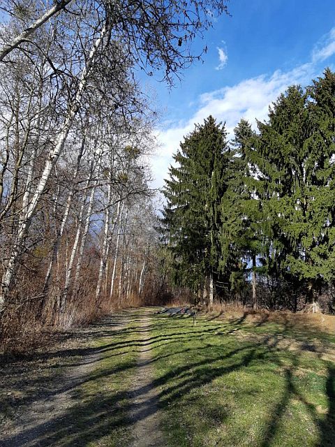 Singlewandern steiermark