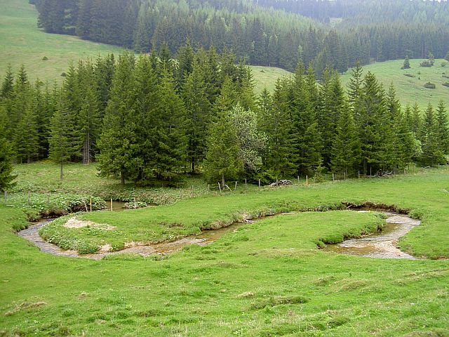 Single steiermark