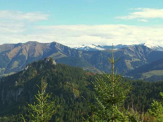 Single treffen kärnten