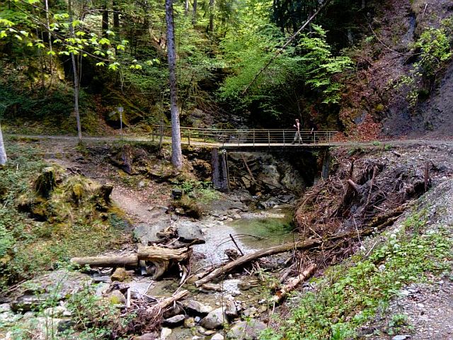 Single vorarlberg