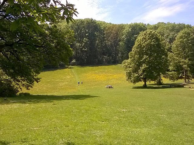 Singles burgenland